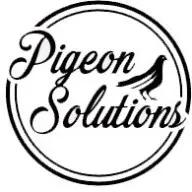 Pigeon Solutions LLC provides expert pigeon control and removal services in Arizona, focusing on quality and aesthetics.