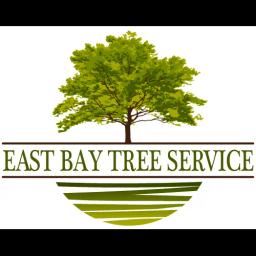 East Bay Tree Service offers expert tree removal and care in the Bay Area, ensuring safety and customer satisfaction.