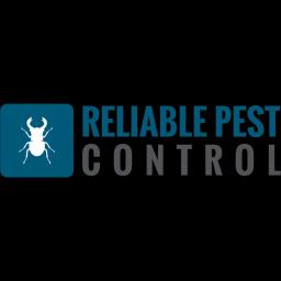 Reliable Pest Control: Over 20 years of expert pest management in Missouri and Kansas for homes and businesses.
