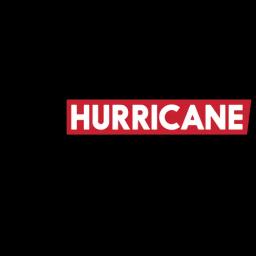 Locally owned hurricane shutter company with 20 years of experience, providing quality storm protection for Florida residents.