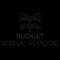 Affordable, humane wildlife removal and control services in Indianapolis with over 25 years of expertise.