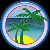 Tropical Expressions: artificial palm trees for commercial and residential tropical decor since 1989.