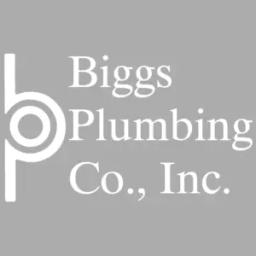 Biggs Plumbing Co provides trusted plumbing services in Texas since 1972, focusing on quality and community impact.