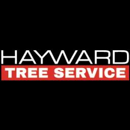 Expert tree removal and care services in Phoenix, AZ, with certified arborists and advanced equipment.
