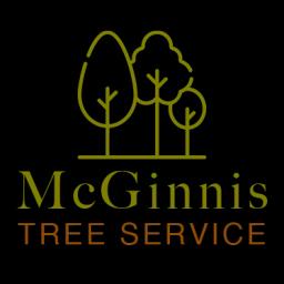 Expert tree care services in Leechburg, PA, offering removal, trimming, and emergency services with a focus on safety.