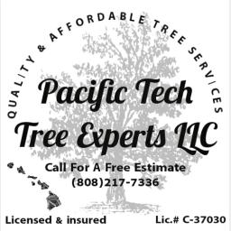 Hawaii's top tree care professionals with over 20 years of experience in tree surgery and maintenance.