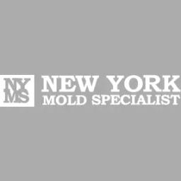 Expert mold inspection and removal services in NY, NJ, and CT, committed to creating healthy living environments.