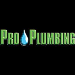 Family-owned plumbing services in Tampa since 1975, offering residential and commercial solutions, including emergency services.