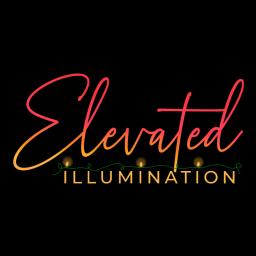 Elevated Illumination specializes in custom holiday and landscape lighting solutions in Dallas, TX, ensuring vibrant displays all year.
