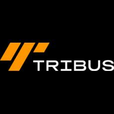 Tribus Construction LLC specializes in capital improvement projects, leveraging decades of industry experience since 2012.