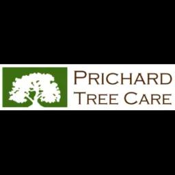 Expert tree services in Dallas/Ft. Worth since 1968, ensuring healthy trees with certified arborists and safety standards.