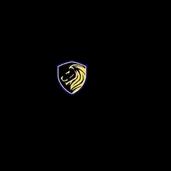 Leading provider of security solutions for residential and commercial properties in Phoenix with 15 years of experience.