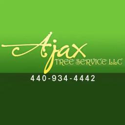 Veteran-owned tree service in Avon, OH, offering tree removal, trimming, stump removal, and emergency services since 1946.