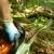 D C Tree Service offers expert tree removal and landscaping solutions in Greensboro and Guilford County, NC.
