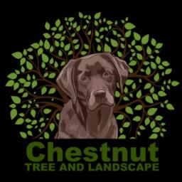 Chestnut Tree and Landscape offers professional landscaping and tree services, focusing on design, maintenance, and environmental sustainability.