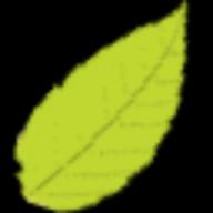 Borsello Landscaping: Your Delaware & SE Pennsylvania outdoor living experts with 25+ years of high-quality service.