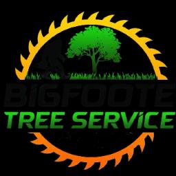 BigFoote Tree Service offers expert tree care and land clearing, prioritizing professionalism and customer satisfaction in TN.