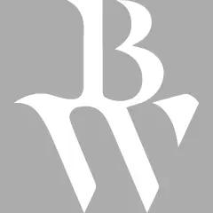BW Solar Holding Inc. is a leading company in sustainable energy solutions, focusing on solar power generation and storage.