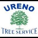 Expert tree and landscape services in Orange County since 1985, prioritizing quality and customer satisfaction.