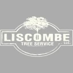 Expert tree services from a family-owned company in St. Louis, focusing on quality, safety, and community integrity.