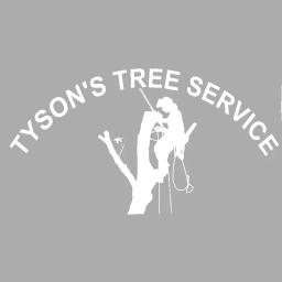 Tyson's Tree Service offers professional tree removal, stump grinding, and storm clean-up in Middle Georgia.