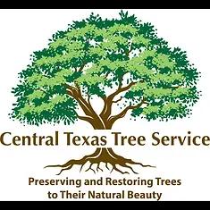 Expert tree care services in Central Texas, preserving and restoring trees to their natural beauty with family-oriented customer service.