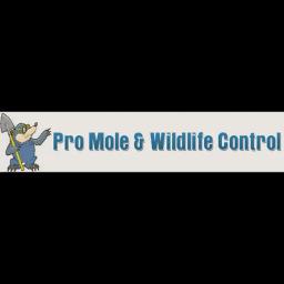 Pro Mole & Wildlife Control offers humane animal removal and exclusion services in St. Charles, MO with a focus on safety and service.