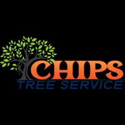 Family-owned tree service in Phoenix offering expert tree care and landscaping with certified arborists.