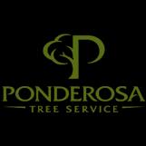 Ponderosa Tree Service offers expert tree care in the East Bay since 1971, ensuring quality service and high customer satisfaction.