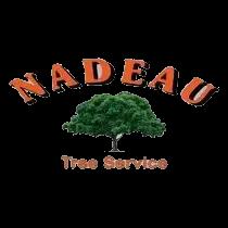 Nadeau Tree Service offers expert tree care, removal, and stump grinding with over 25 years of experience in Westport, MA.