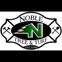 Noble Tree Service: Your reliable landscaping and tree service partner in Las Vegas since 1998.