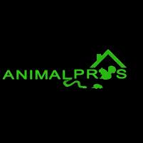 Humane wildlife removal services across multiple states, ensuring safe and effective solutions for homes and businesses.