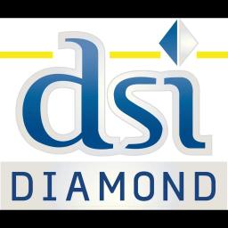 Diamond Security Inc. offers customized security solutions for government and commercial clients with a focus on quality and technology.