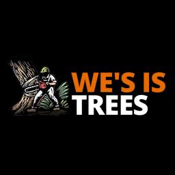 Expert tree services in Gastonia, NC, offering trimming, removal, stump grinding, and 24/7 emergency support.
