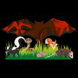 Humane wildlife removal experts in Columbus, ensuring peace of mind with reliable and affordable services since 2012.