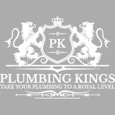 Plumbing Kings LLC offers reliable, professional plumbing services in Las Vegas for residential and commercial needs since 2016.