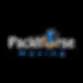 Packhorse Moving offers expert moving services with a commitment to five-star customer satisfaction in Norristown, PA.