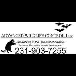 Advanced Wildlife Control specializes in humane removal of nuisance animals in Muskegon, Michigan.