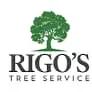 Rigo's Tree Service offers reliable tree and landscaping services in San Antonio at reasonable prices.