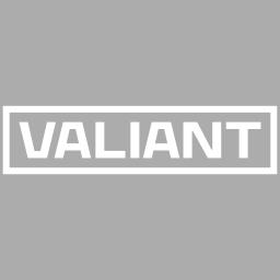 Valiant Construction LLC is a premier SDVOSB contractor specializing in healthcare construction since 2009.