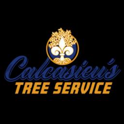 Family-owned tree care service in Louisiana, specializing in tree removal and maintenance with over 50 years of experience.