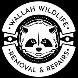 Humane wildlife removal and damage repair services in Lake Norman, NC, ensuring safety and peace of mind for homes and businesses.