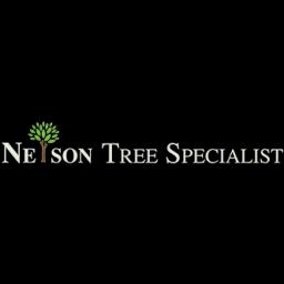 Expert tree services in the MD, VA & DC area, offering safe and professional care including removal, trimming, and emergency services.