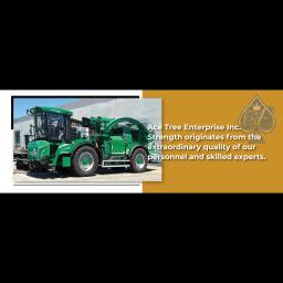 Family-owned tree service committed to quality, safety, and customer satisfaction since 2020.