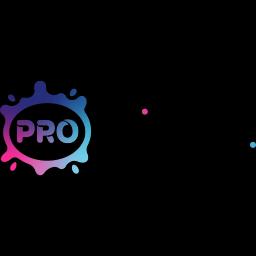 Pro Painters LLC provides quality interior and exterior painting services in Washington with a commitment to customer satisfaction.