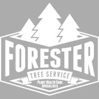 Expert tree care and plant health services in Milwaukee, focusing on preventative care and environmental responsibility.
