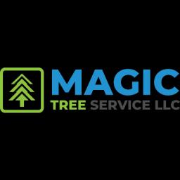 Family-owned Magic Tree Service offers expert tree care with a commitment to quality and customer satisfaction in Central Florida.