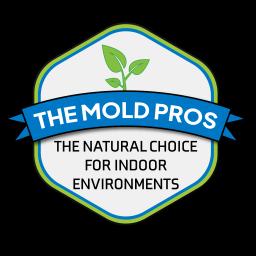 The Mold Pros specializes in safe and affordable mold remediation using eco-friendly methods and proprietary bio-enzyme solutions.