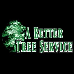 Professional tree care services in Sacramento since 1998, committed to responsible natural environment management.