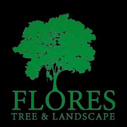 Expert tree services with a focus on quality customer care in Antioch, CA since 2012.